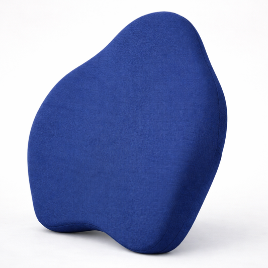 Long Memory Foam Back Support Pillow for Lumbar Posture